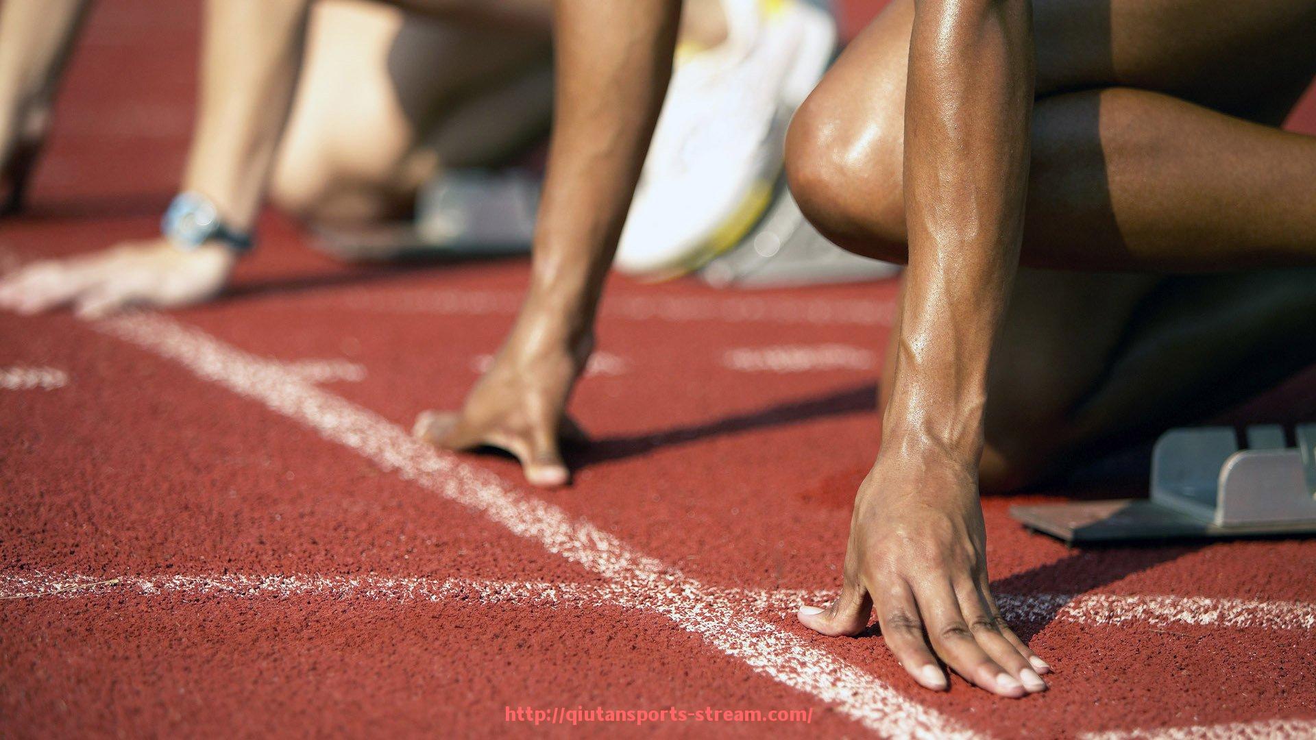 球探体育-圆机健身器材解析：家用与商用功能与适配性详解